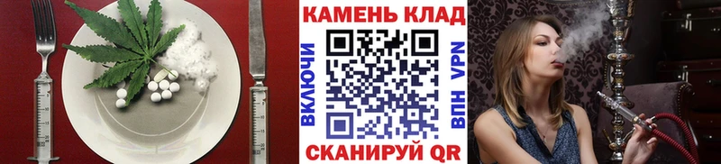 дарнет шоп  Курчатов  Еда ТГК марихуана 