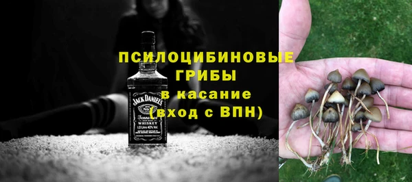2c-b Беломорск