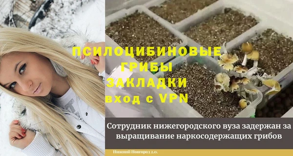 прущая мука Белокуриха