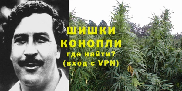 прущая мука Белокуриха