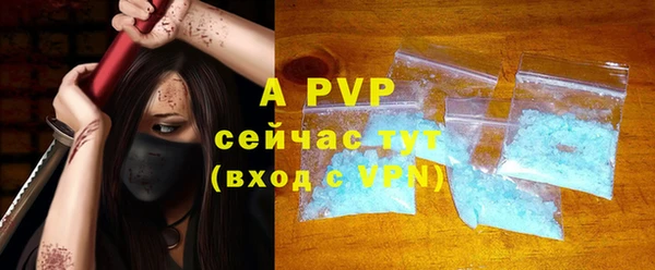 шишки Новозыбков